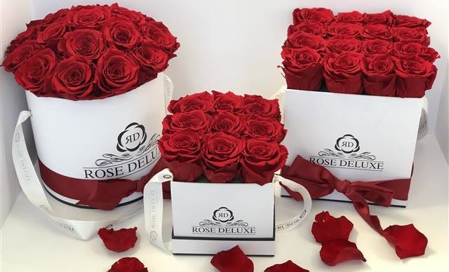 Home | Rose Deluxe, The World’s Longest Lasting Roses