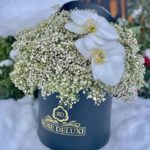 RD BABYBREATH&ORCHIDS  BOX/sold out
