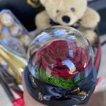 RD MINI ROSE CUP DOME