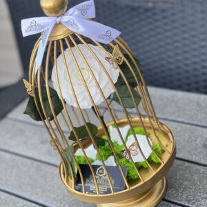 RD FOREVER MINE CAGE